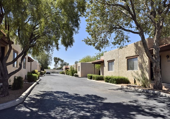 A tree-lined street with houses on either side at San Xavier Casitas, Arizona