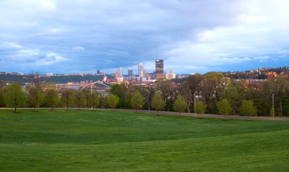 a view of the city skyline from a park