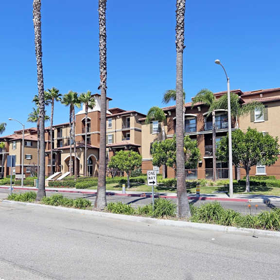 A street view of a residential area with palm trees and apartment buildings.