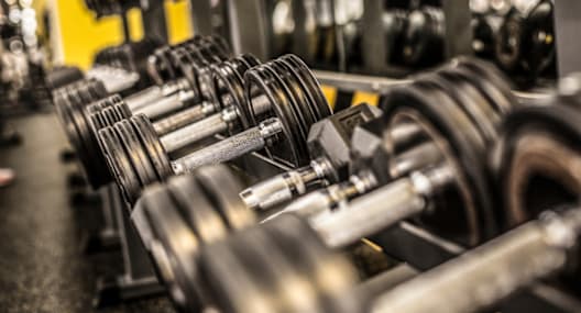 A row of dumbbells are lined up on a rack in a gym.