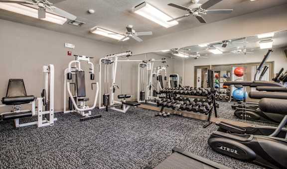 Breakwater bay gym with strength and cardio equipment with giant mirror