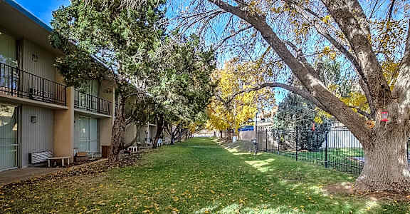 A tree with yellow leaves is in front of a building.