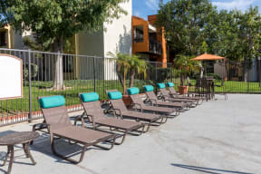 Chaise Lounge Furniture at Leasing Office Swimming Pool