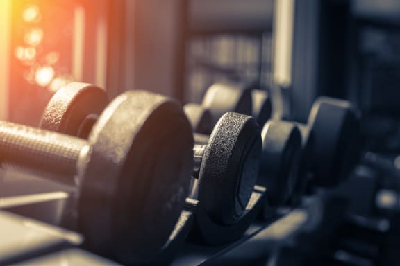 a row of dumbbells in a gym