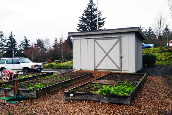 TerraceMountscott_Amenity_GardenShed
