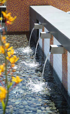 water fountains in a pool with rocks and yellow flowers