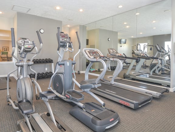 Cardio Equipment and Free Weights at the Fitness Center
