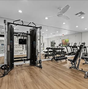 A gym with a variety of equipment including a squat rack, bench press, and dumbbells.