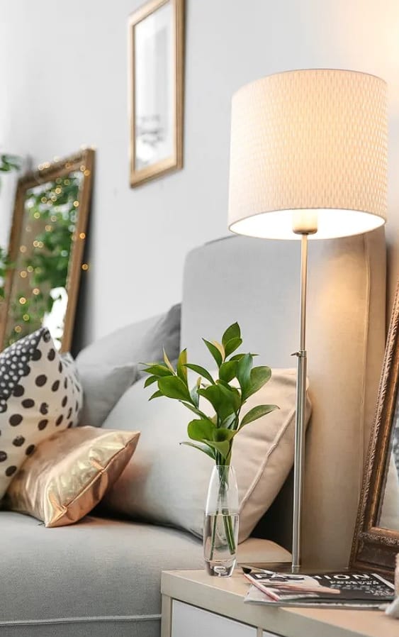 a living room with a couch and a table with a vase with a plant on it