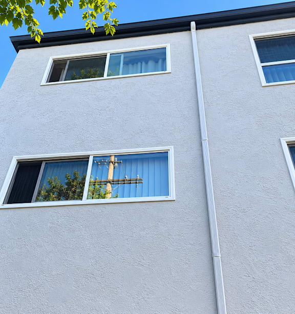 A white building with three windows and a tree branch in the foreground.