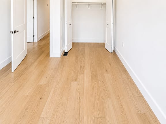A long hallway with a door on the left and a closet on the right.
