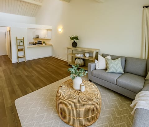 A living room with a grey couch, a wooden coffee table, and a white rug.