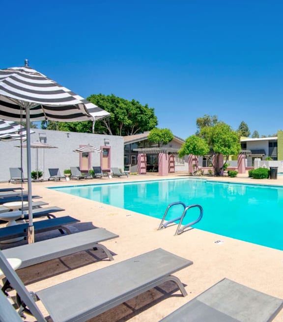 a swimming pool with lounge chairs and umbrellas near a resort style pool at Connect on Missour Apartments, Phoenix 85015