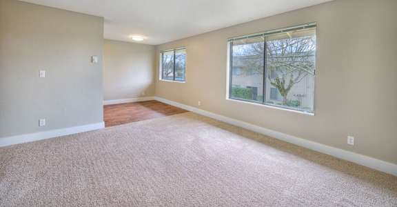 A room with a carpeted floor and a window showing a tree outside.