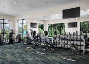 Thumbnail 11 of 30 - the gym at the residences at green valley one