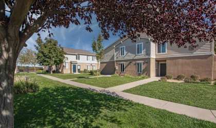 A tree with red leaves is in the foreground of a residential area with houses and green lawns.