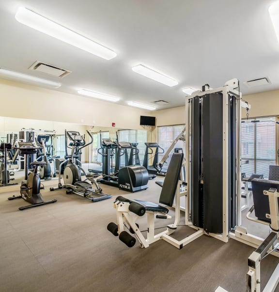 a gym filled with cardio equipment and weights