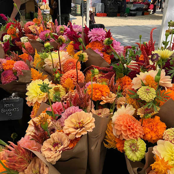 A bunch of flowers are for sale at a market.