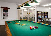 Thumbnail 17 of 20 - Amenities Room with Pool Table And Library