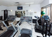 Thumbnail 7 of 9 - Fully Equipped Fitness Room