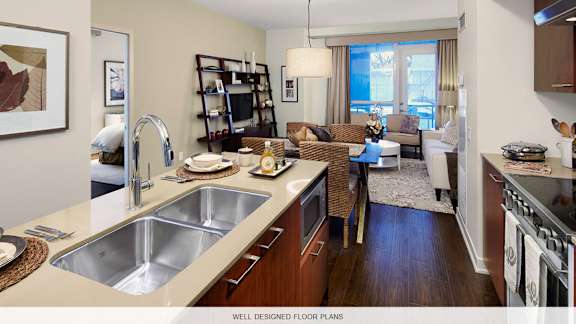 Open Concept Living and Kitchen Area