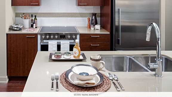 Model Suite Kitchen