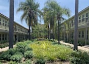 Thumbnail 5 of 51 - Courtyard landscaping