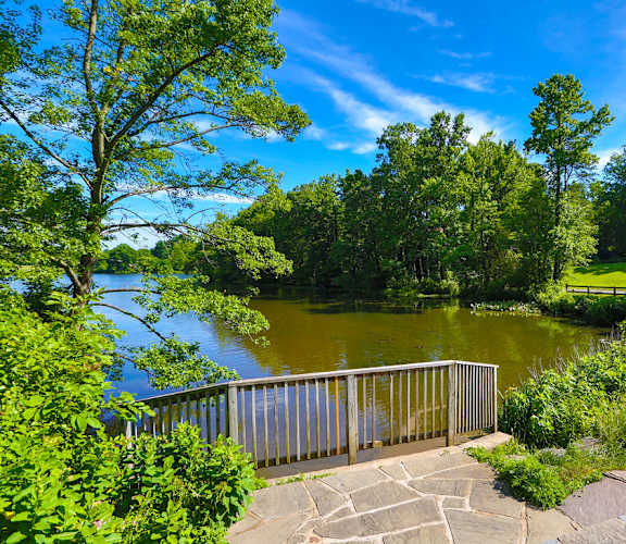A serene park with a lake, trees, and a stone walkway. at Charlestowne North Apartments, Maryland