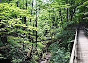 Thumbnail 7 of 7 - Akron Ohio Apartment Rentals Northampton Apartments by Redwood National Park access