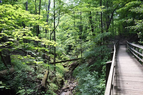 Akron Ohio Apartment Rentals Northampton Apartments by Redwood National Park access
