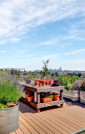Outdoor Grilling Stations at Link + Mural, Seattle, WA