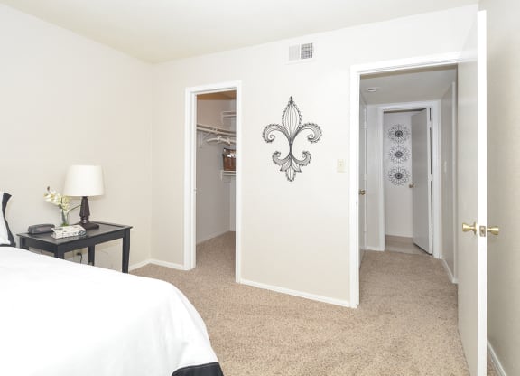Spacious Bedroom with Walk-In Closet