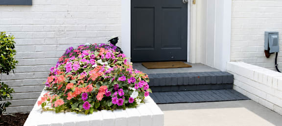 A white house with a black door and a flower box.