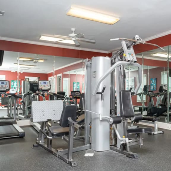A gym with a variety of equipment including treadmills, weights, and a bench press.