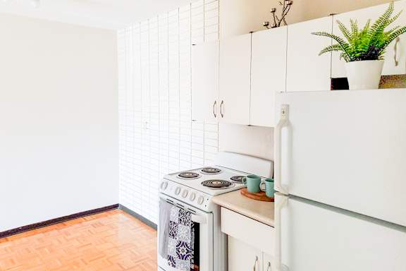 A white kitchen with a stove and a plant on the counter.