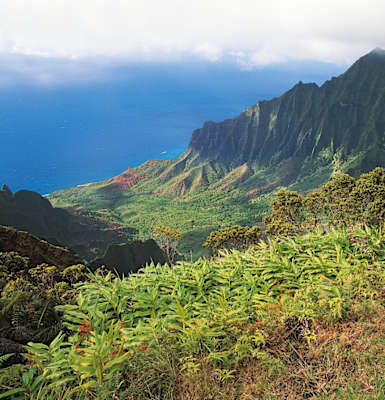 a view of the kalalau valley and the pacific ocean from the top of