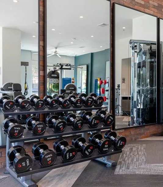 A gym with a row of dumbbells and a mirrored wall.