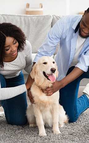 A man and woman are sitting on a rug with a dog between them at Balfour Marietta Apartments, Marietta, GA, 30060