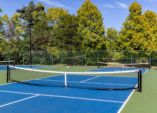A tennis court surrounded by trees.