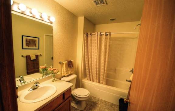 a bathroom with a sink toilet and a shower