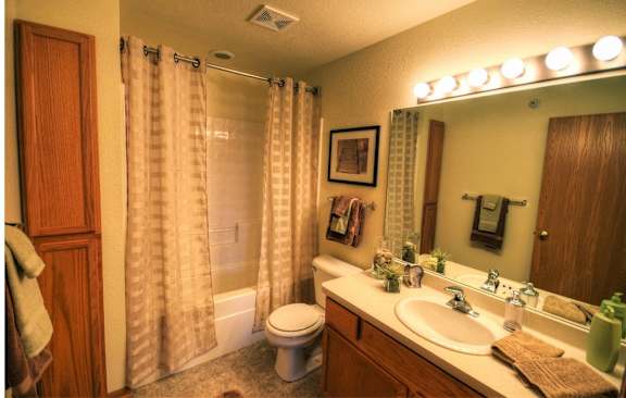a bathroom with a sink and a toilet and a shower
