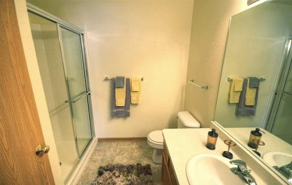 a bathroom with a shower toilet and sink and a mirror