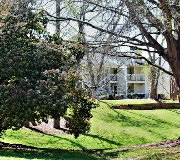 a large tree in front of a house at Creekside Canopy, Charlotte, NC 28212