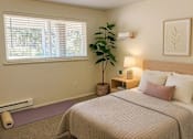 Thumbnail 4 of 8 - A bedroom with a bed, nightstand, and a plant.