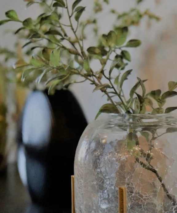 A glass jar with a plant in it sits on a table.