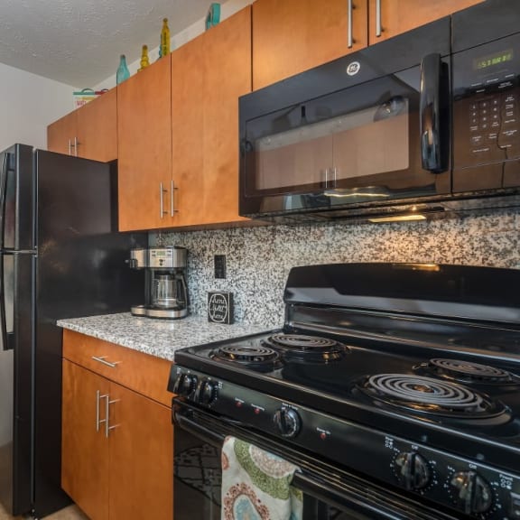 our apartments have a modern kitchen with stainless steel appliances