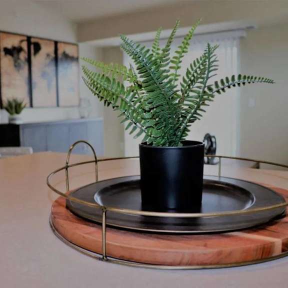 A fern plant in a black pot sits on a wooden tray.