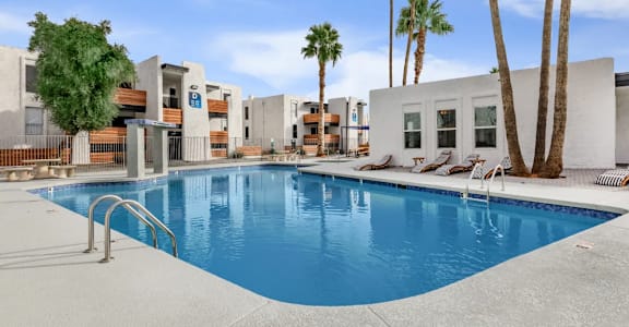 A swimming pool surrounded by palm trees and lounge chairs.