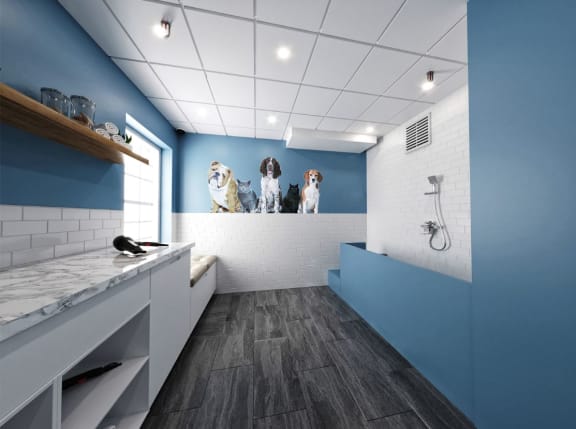 Chestnut Hill Village Pet Spa  at Chestnut Hill Village, Pennsylvania