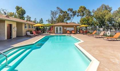 the swimming pool at the apartments for rent